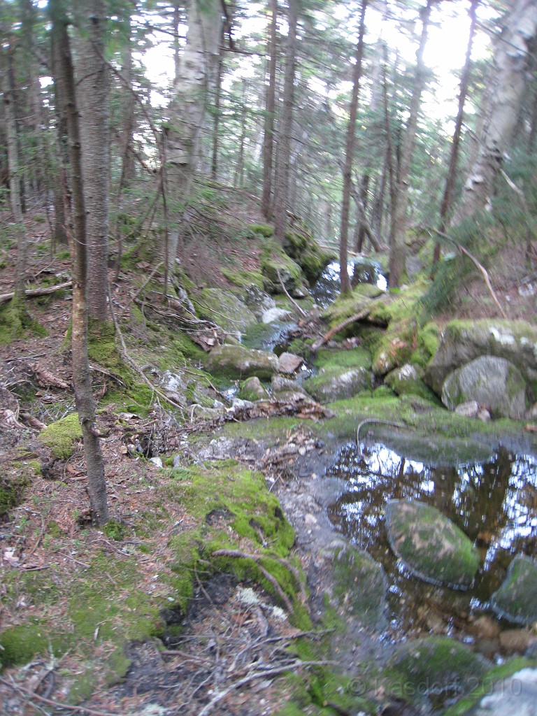 Mt Cardigan NH 2010 0330.jpg - Mt. Cardigan in New Hampshire. Summited on May 25, 2010. There are numerous trails to the peak... I had to pick the extremely difficult one. The views were worth it.